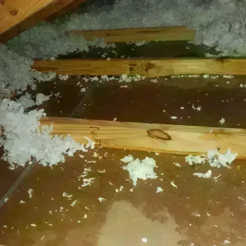 Attic Water Damage in Laurens, SC