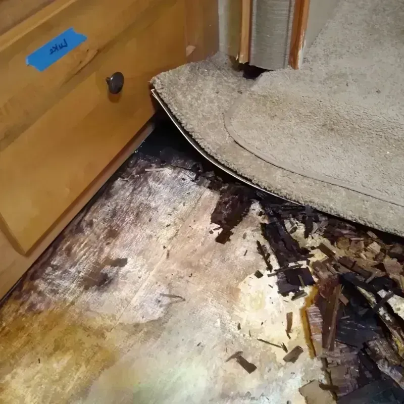 Best Wood Floor Water Damage Service in Laurens, SC